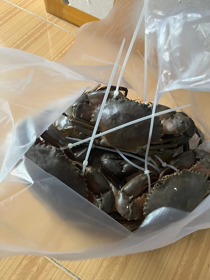 Combo 2kg Cua Gạch (Siêu Hời) - 1