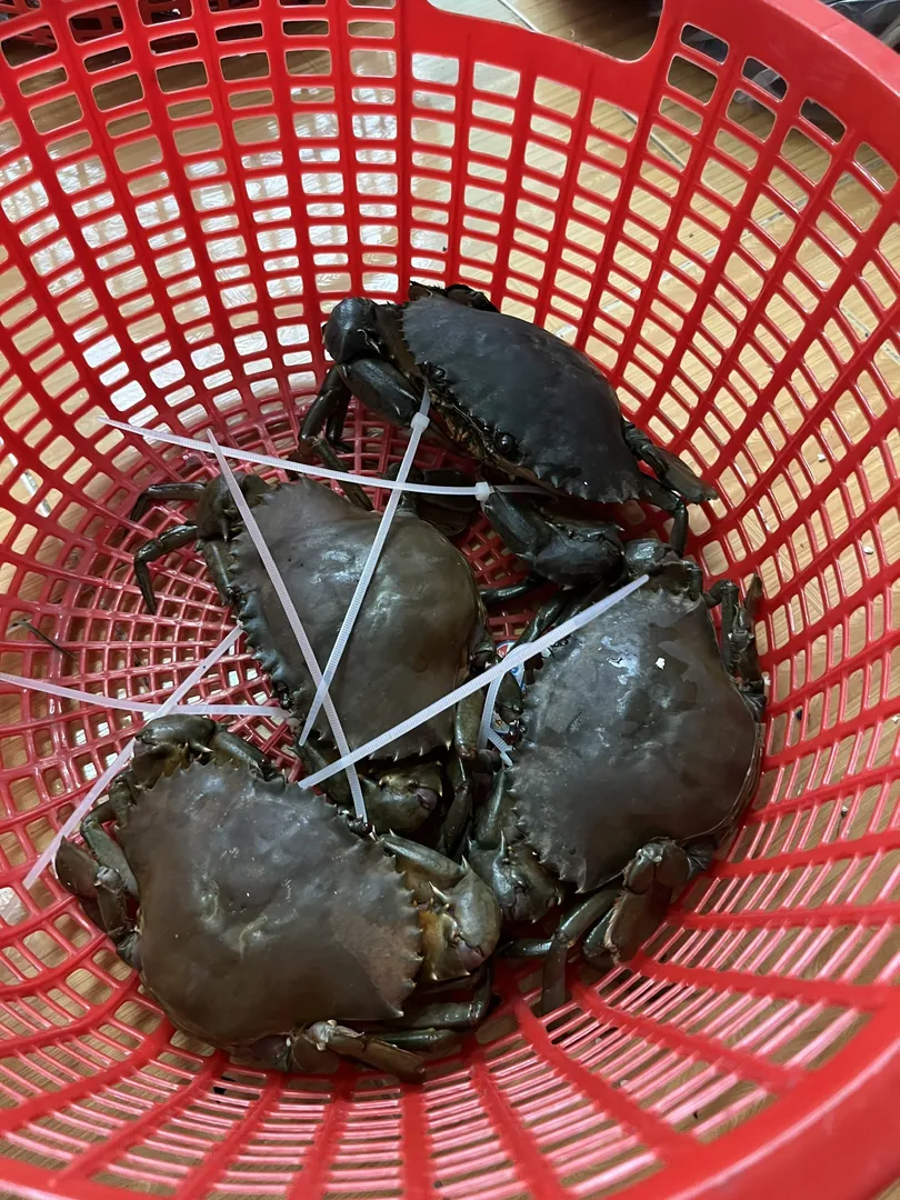 Combo 2kg Cua Gạch (Siêu Hời) - 2