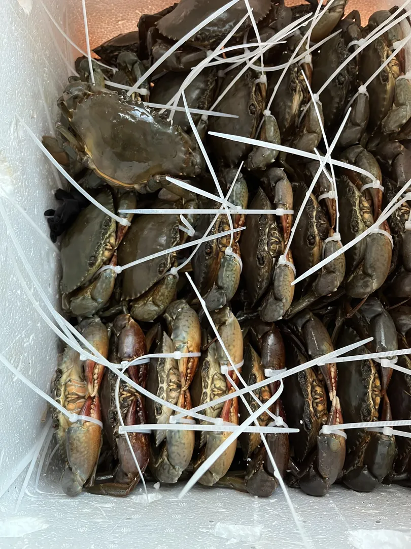 Tiêu chuẩn khắt khe