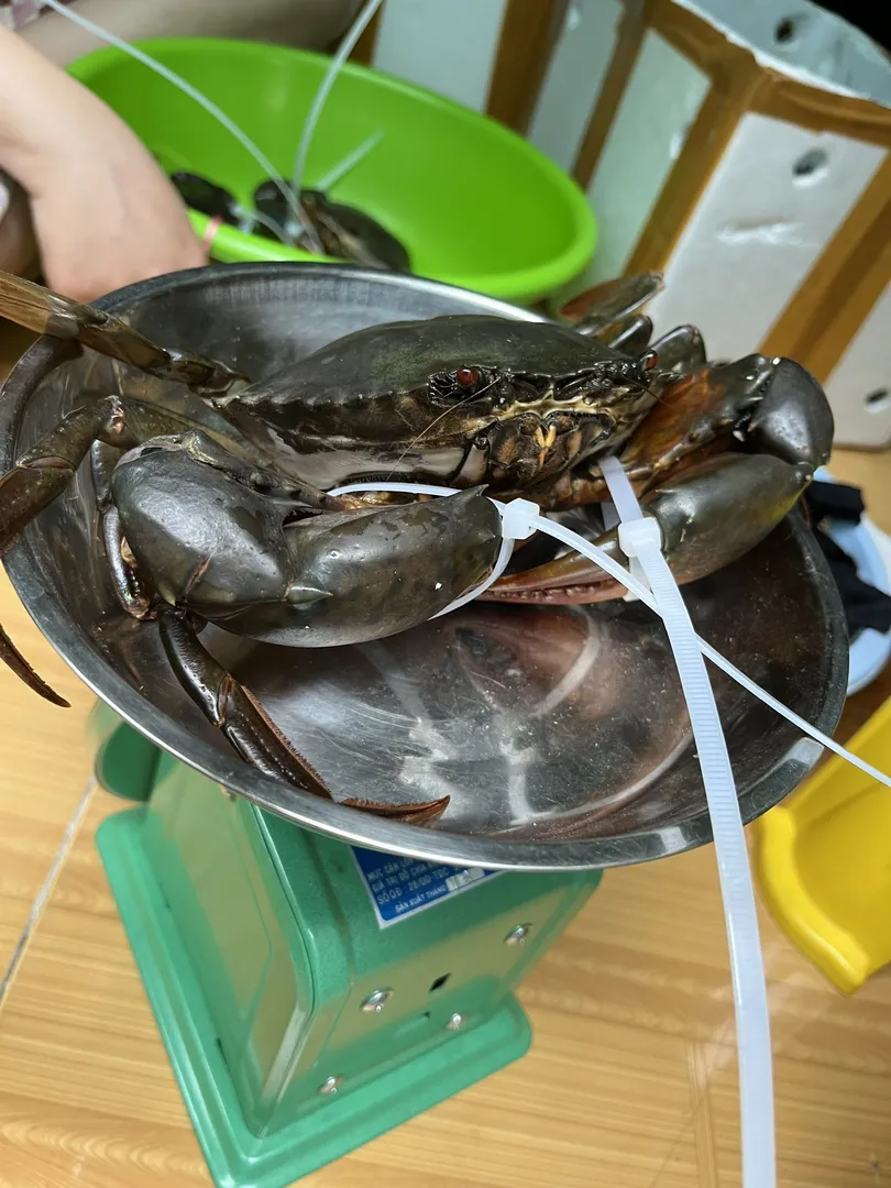 Hình ảnh cua biển Cà Mau tươi ngon, dây trói mỏng