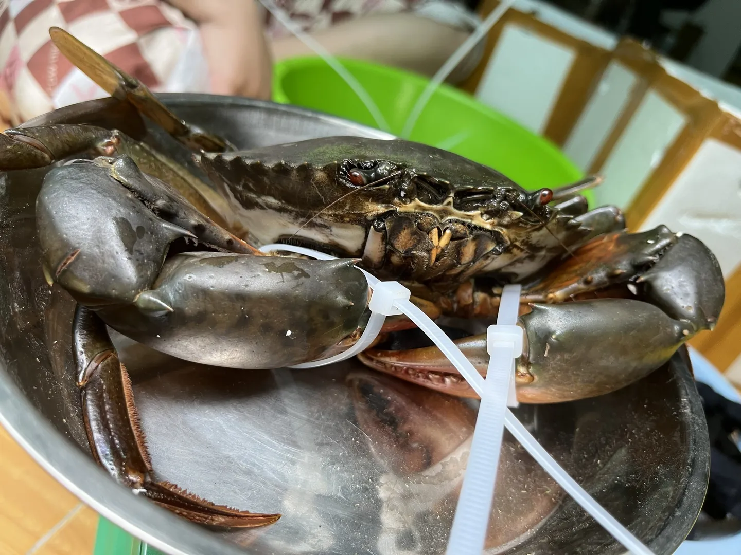 Hình ảnh một con cua thịt Y tươi sống, dây trói còn mới, đang còn rất khỏe mạnh