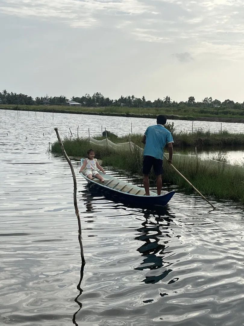 Nông dân thu hoạch