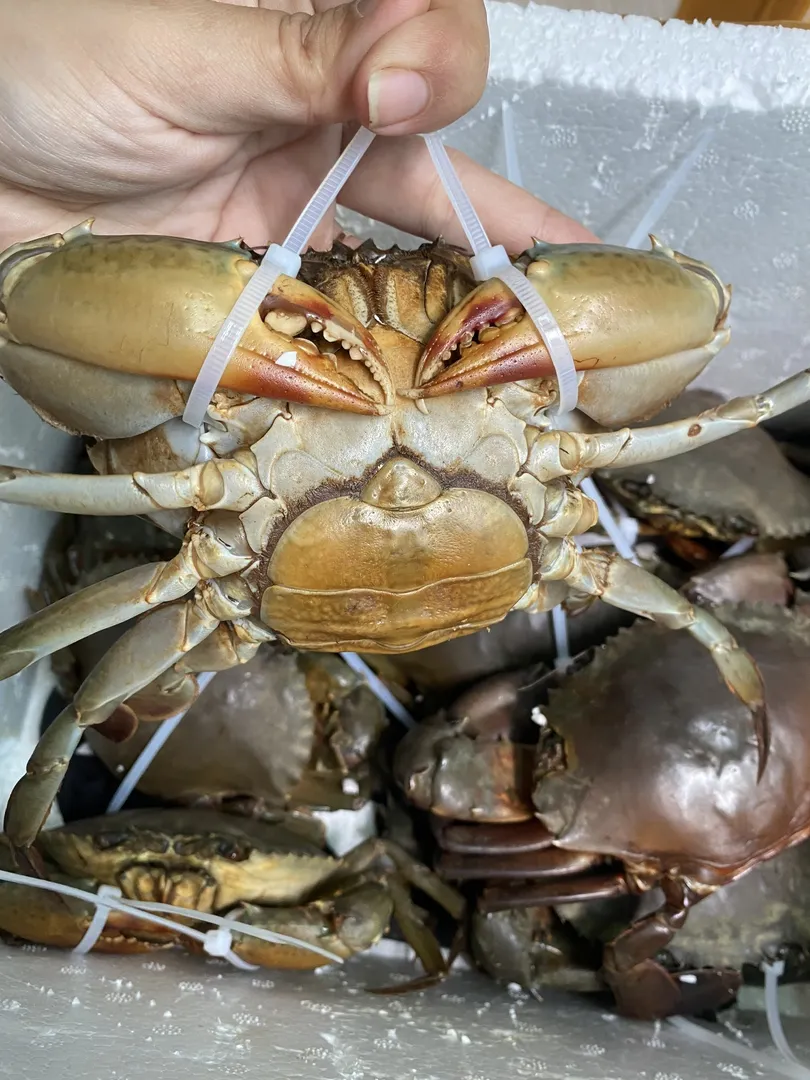 Cô nàng đỏng đảnh