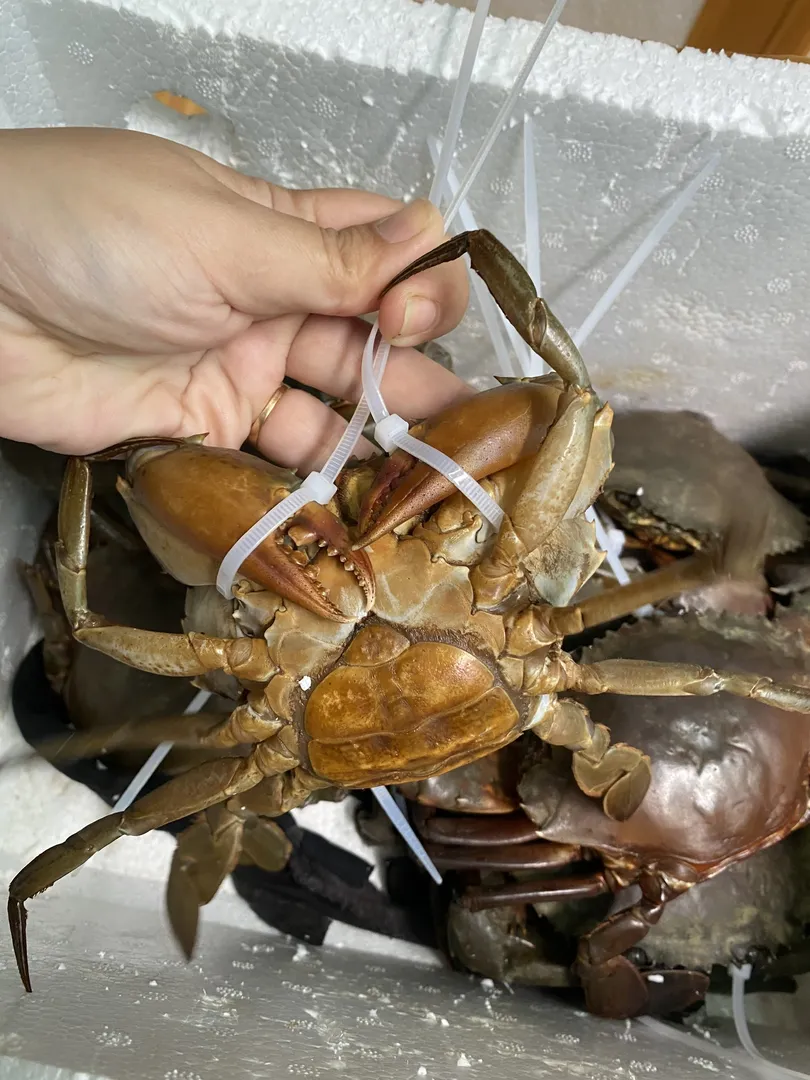 Sự cân bằng hoàn hảo