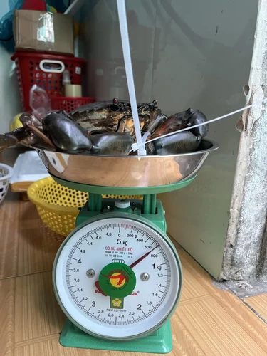Giá Cua Thịt Cà Mau Bao Nhiêu 1Kg Hôm Nay?