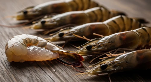 Exposing the Ring Injecting Agar Jelly into Live Tiger Prawns for Billion-Dong Profits