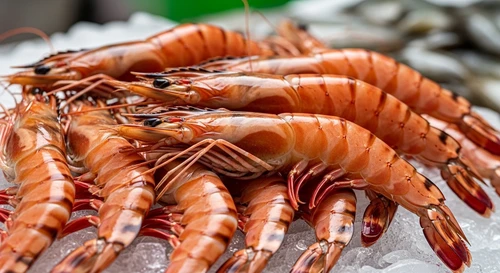 How to Tell if Tiger Prawns are Fresh or Defrosted