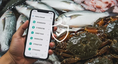 Hotlines for Reporting Seafood Scams in Major Cities