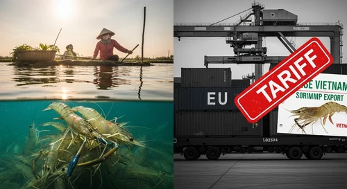 Vietnam's Shrimp Industry Faces the Threat of Anti-Dumping Tariffs in the EU