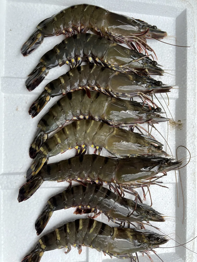 Thịt dai ngọt lịm